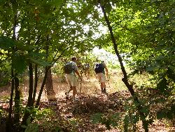 Randonnée en Cévennes